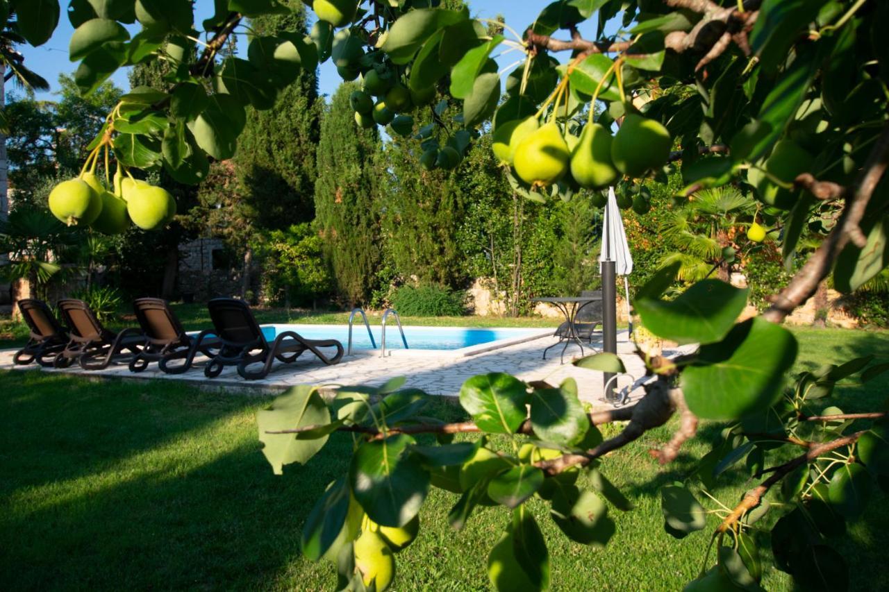 Villa Micheline Kosinozici Extérieur photo