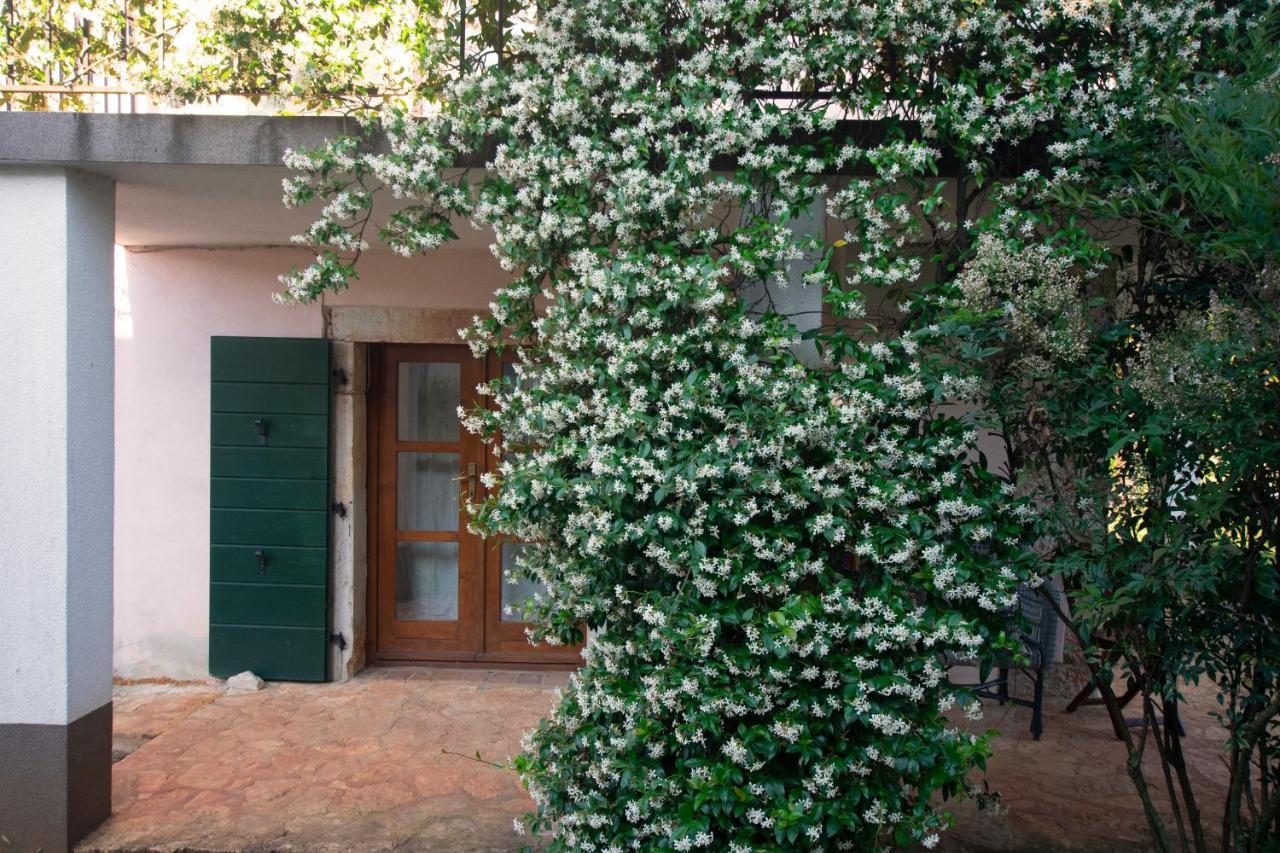 Villa Micheline Kosinozici Extérieur photo